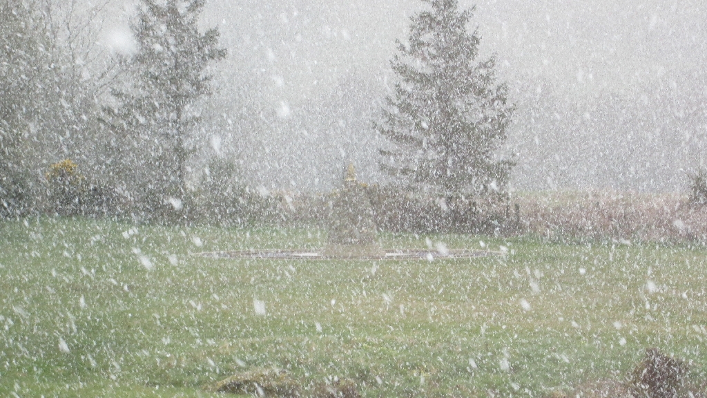 snowy-meadow