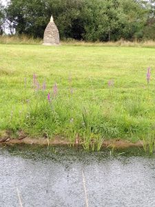 View of the pond looking towards the stupa